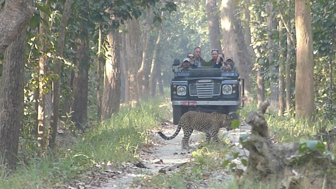 Bardiya Tiger Tops Karnali Lodge מראה חיצוני תמונה