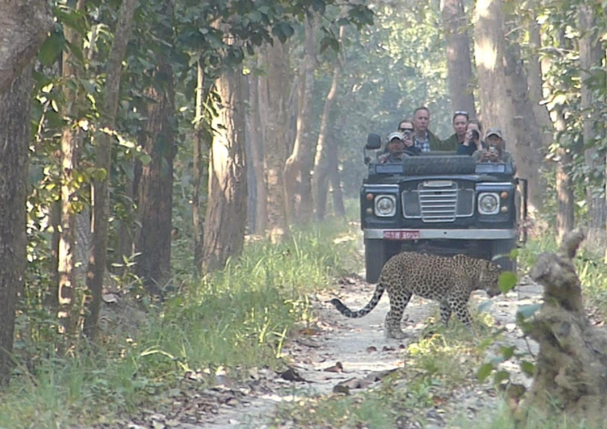 Bardiya Tiger Tops Karnali Lodge מראה חיצוני תמונה